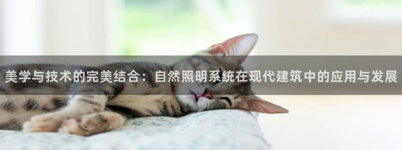美学与技术的完美结合:自然照明系统在现代建筑中的应用与发展