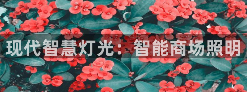 现代智慧灯光：智能商场照明