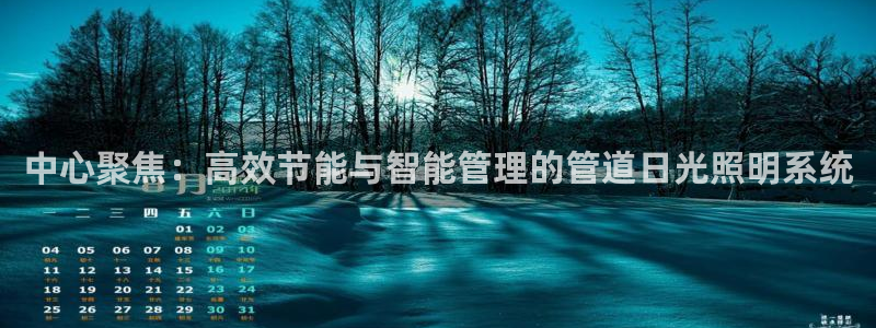 中心聚焦：高效节能与智能管理的管道日光照明系统