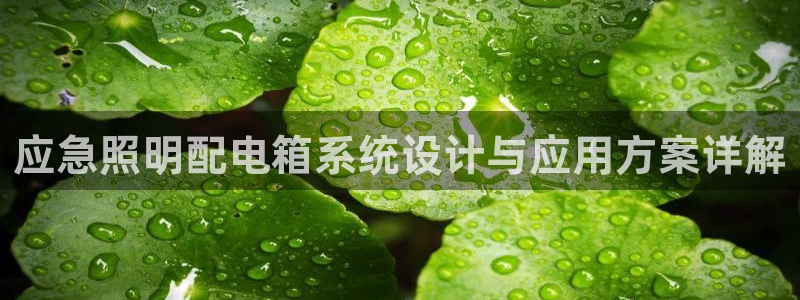 应急照明配电箱系统设计与应用方案详解