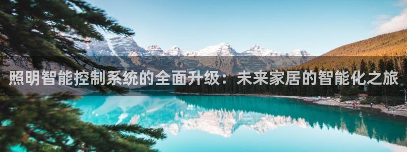 照明智能控制系统的全面升级：未来家居的智能化之旅