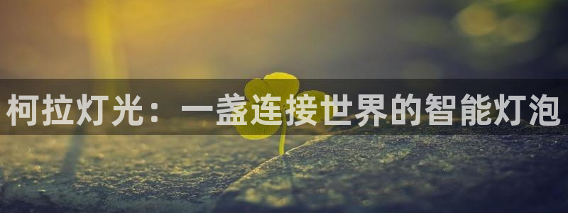 柯拉灯光：一盏连接世界的智能灯泡