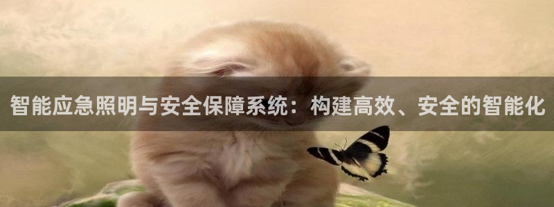 智能应急照明与安全保障系统：构建高效、安全的智能化