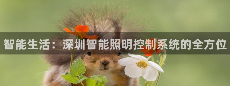 智能生活：深圳智能照明控制系统的全方位