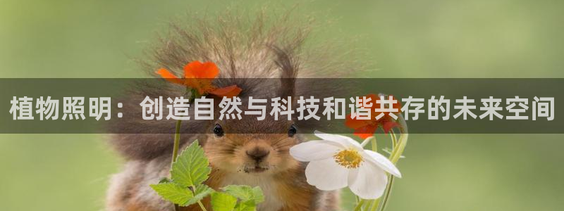 植物照明：创造自然与科技和谐共存的未来空间