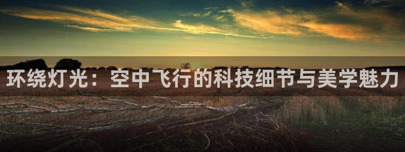 环绕灯光：空中飞行的科技细节与美学魅力