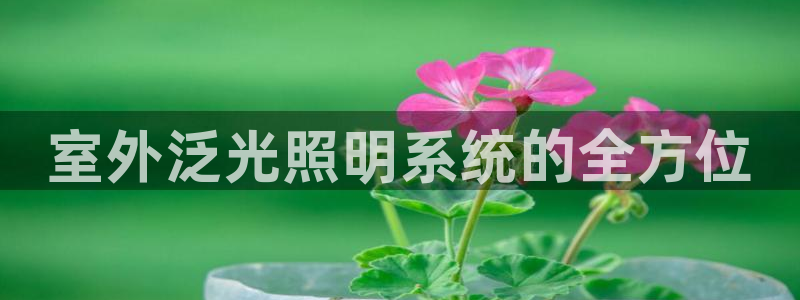 室外泛光照明系统的全方位
