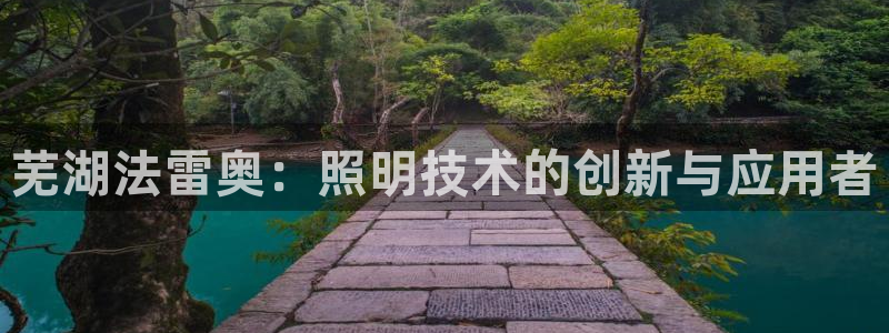 芜湖法雷奥：照明技术的创新与应用者