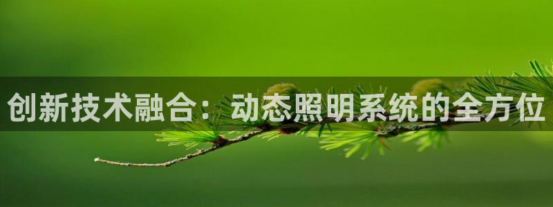 创新技术融合：动态照明系统的全方位