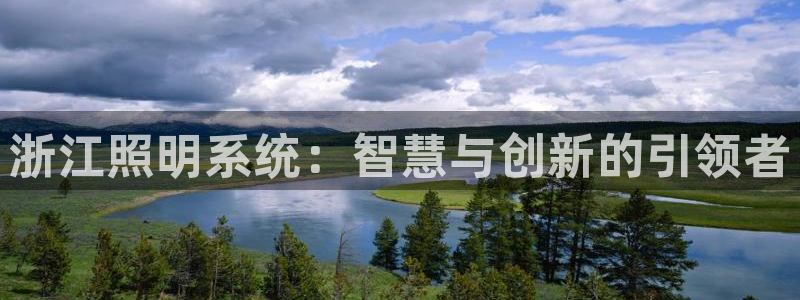 浙江照明系统：智慧与创新的引领者