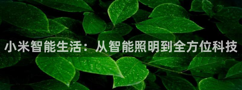 小米智能生活：从智能照明到全方位科技