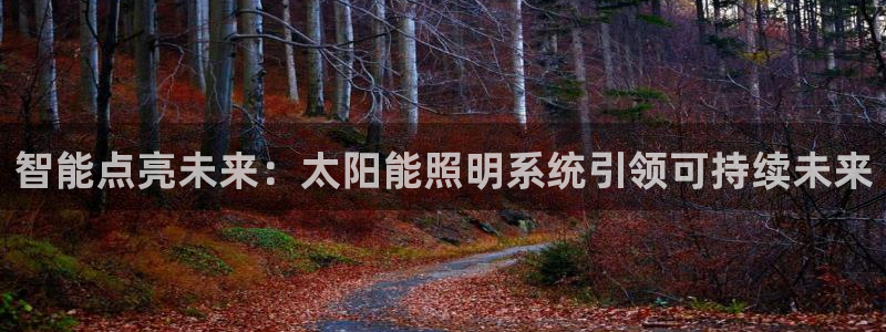 智能点亮未来：太阳能照明系统引领可持续未来