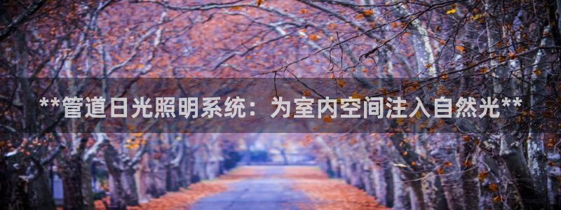 **管道日光照明系统：为室内空间注入自然光**