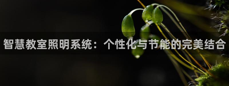 智慧教室照明系统：个性化与节能的完美结合