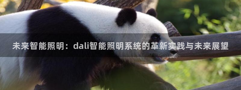 未来智能照明：dali智能照明系统的革新实践与未来展望