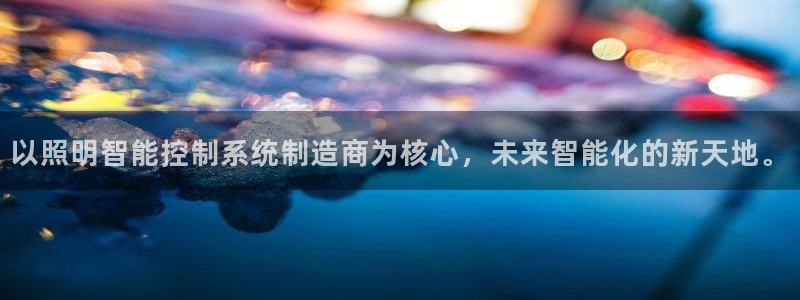 以照明智能控制系统制造商为核心，未来智能化的新天地。