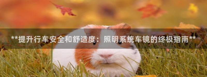 **提升行车安全和舒适度：照明系统车镜的终极指南**