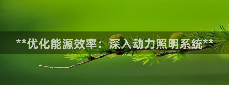 **优化能源效率：深入动力照明系统**