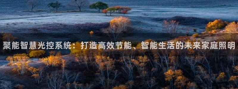 聚能智慧光控系统：打造高效节能、智能生活的未来家庭照明