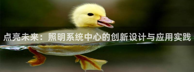 点亮未来：照明系统中心的创新设计与应用实践