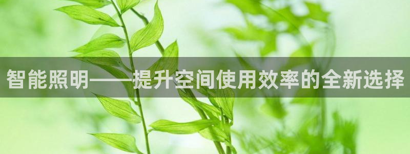 智能照明——提升空间使用效率的全新选择
