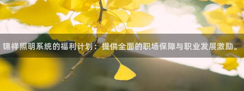 锦祥照明系统的福利计划：提供全面的职场保障与职业发展激励。