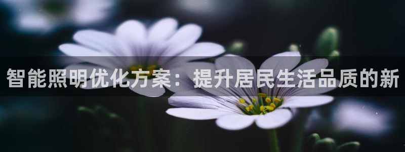 智能照明优化方案：提升居民生活品质的新