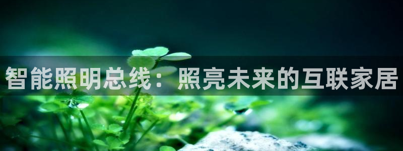 智能照明总线：照亮未来的互联家居