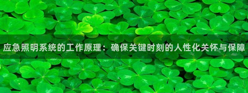 应急照明系统的工作原理：确保关键时刻的人性化关怀与保障