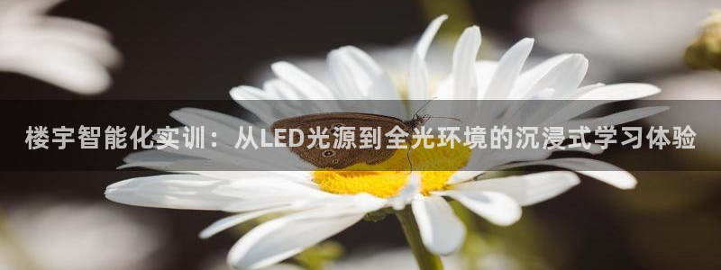 楼宇智能化实训：从LED光源到全光环境的沉浸式学习体验