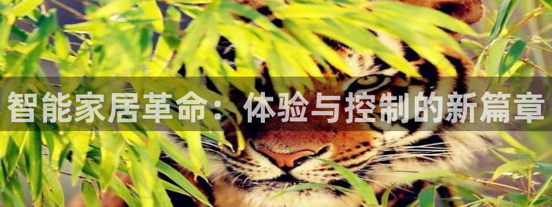 智能家居革命：体验与控制的新篇章
