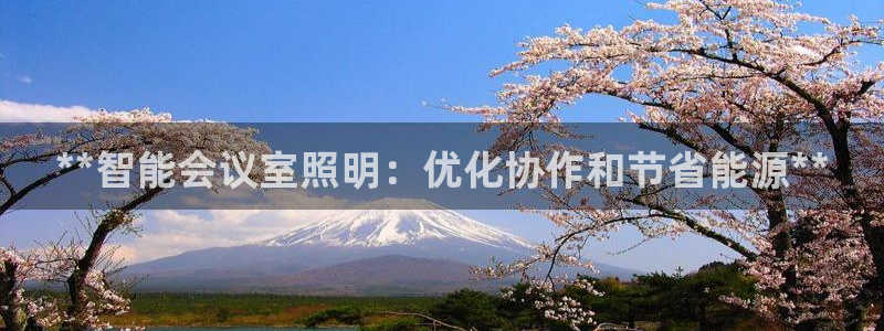 **智能会议室照明：优化协作和节省能源**