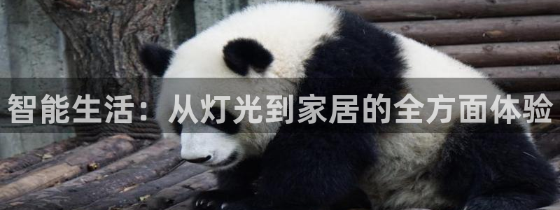 智能生活：从灯光到家居的全方面体验