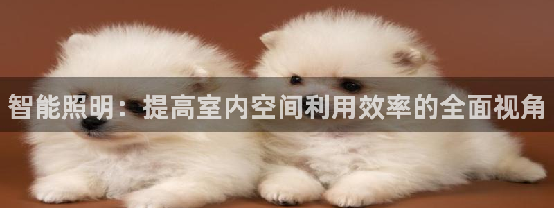 智能照明：提高室内空间利用效率的全面视角