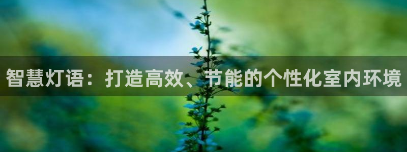 智慧灯语：打造高效、节能的个性化室内环境