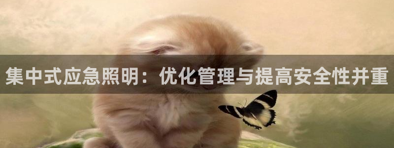 集中式应急照明：优化管理与提高安全性并重