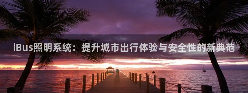 iBus照明系统：提升城市出行体验与安全性的新典范