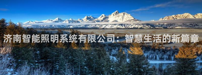 济南智能照明系统有限公司：智慧生活的新篇章