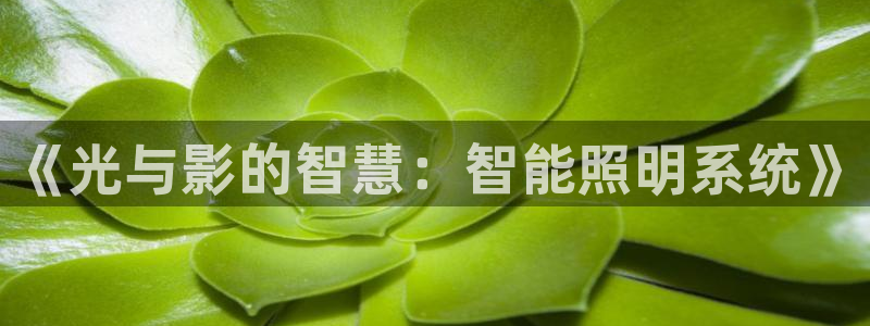 《光与影的智慧：智能照明系统》