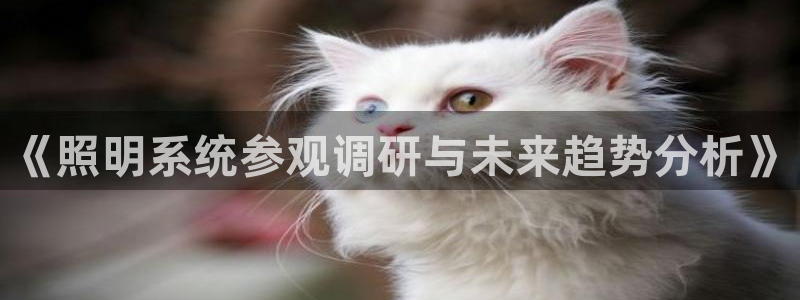 《照明系统参观调研与未来趋势分析》