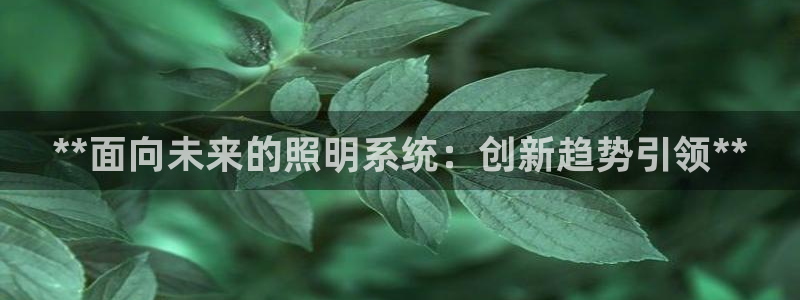 **面向未来的照明系统：创新趋势引领**