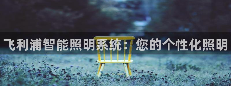 飞利浦智能照明系统：您的个性化照明