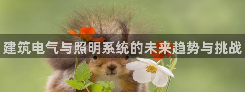 建筑电气与照明系统的未来趋势与挑战
