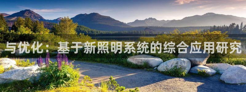 与优化：基于新照明系统的综合应用研究