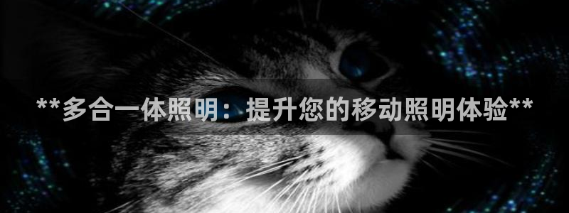 **多合一体照明：提升您的移动照明体验**