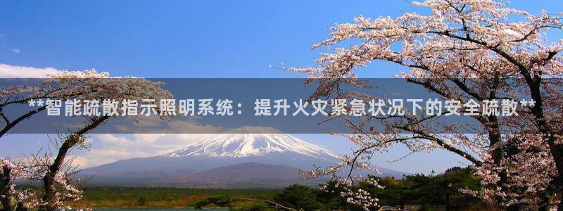 **智能疏散指示照明系统：提升火灾紧急状况下的安全疏散**
