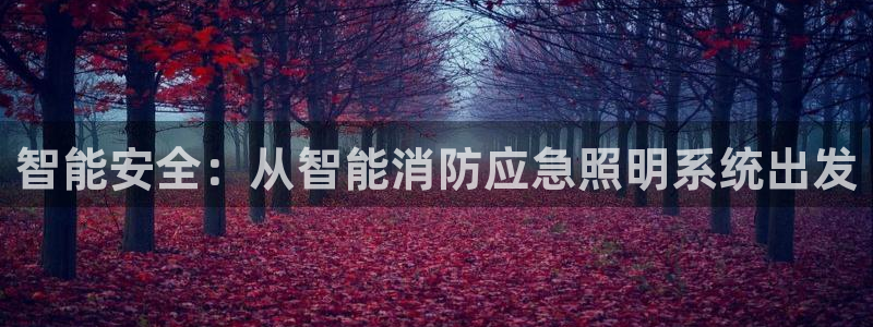 智能安全：从智能消防应急照明系统出发