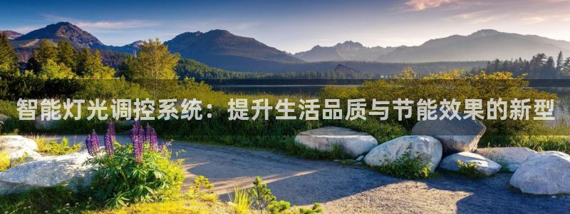 智能灯光调控系统：提升生活品质与节能效果的新型