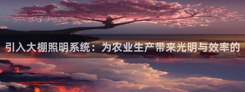 引入大棚照明系统：为农业生产带来光明与效