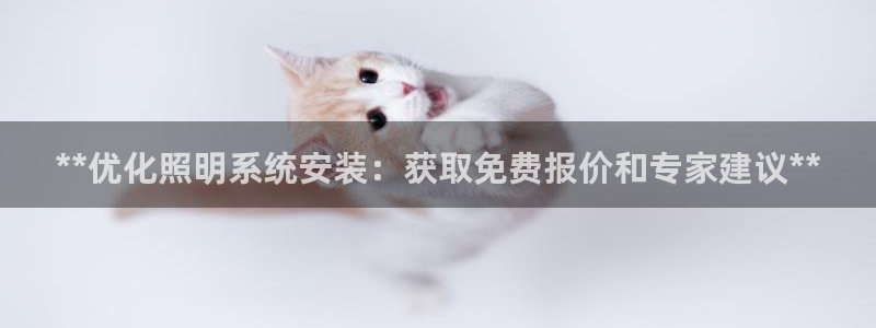 **优化照明系统安装：获取免费报价和专家建议**